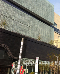 HyunDai dept, DaeGu, Korea